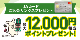 最大12,000円相当ポイント　プレゼント